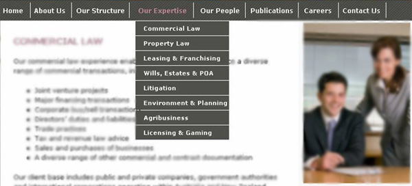 Example of a larger site